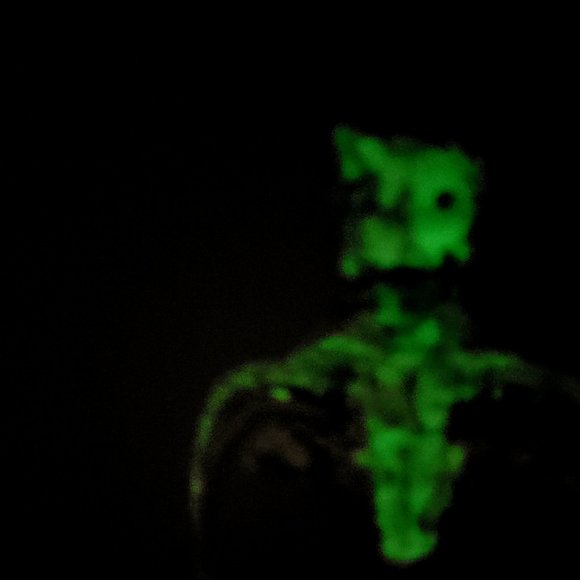 Hello! Welcome to my weird closet! - Picture 10 of 16